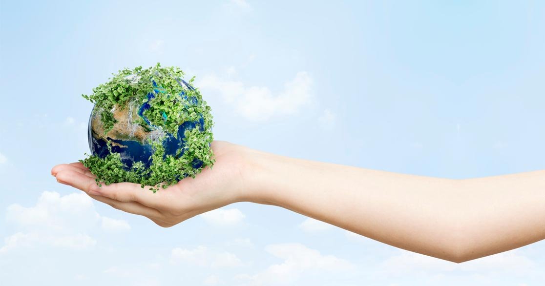 Sustainablity Img